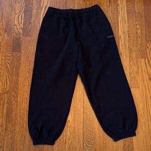 Aritzia sweatfleece joggers (short)